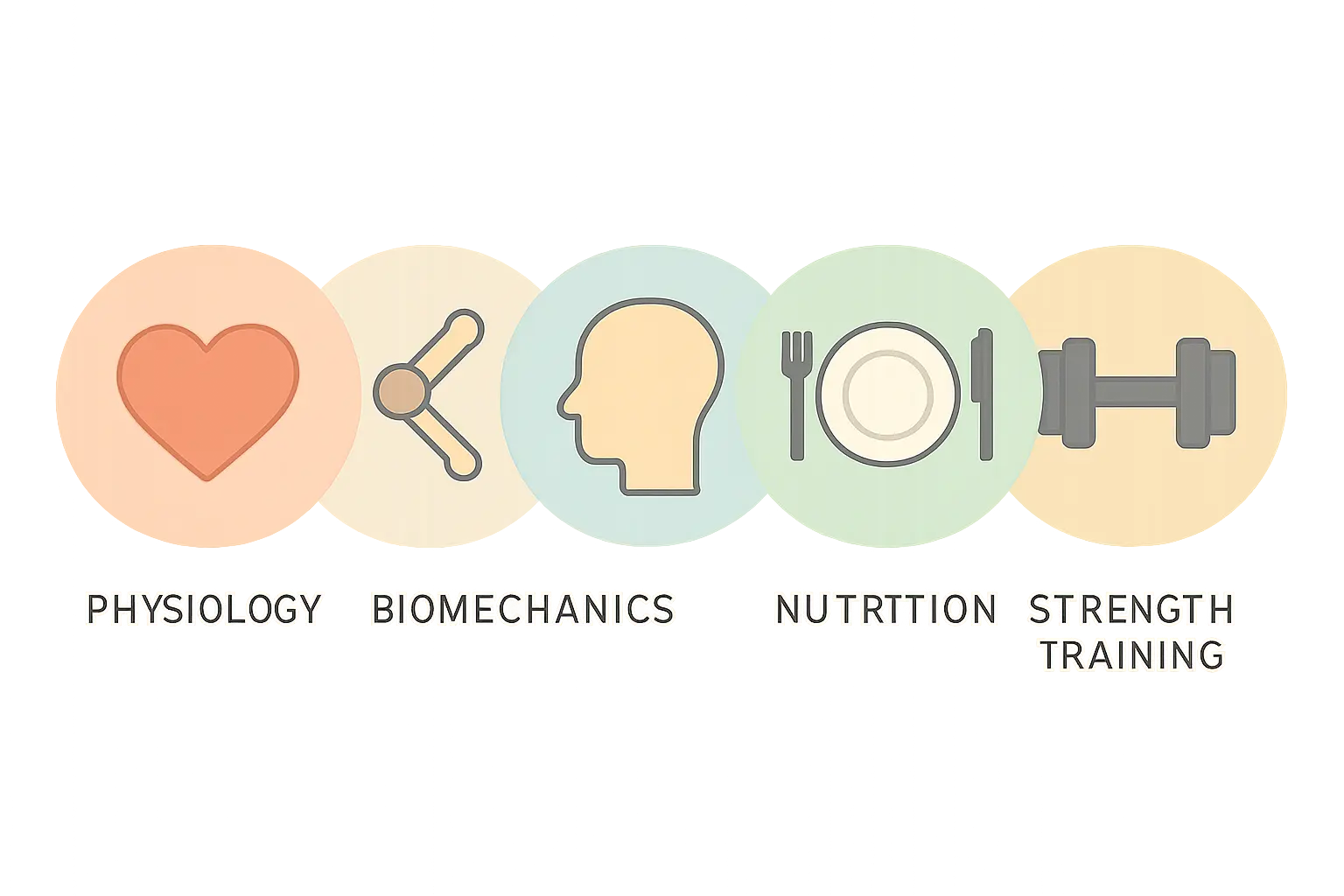Flat vector icons representing the physiology, biomechanics, psychology, nutrition and strength sub-disciplines of sports science