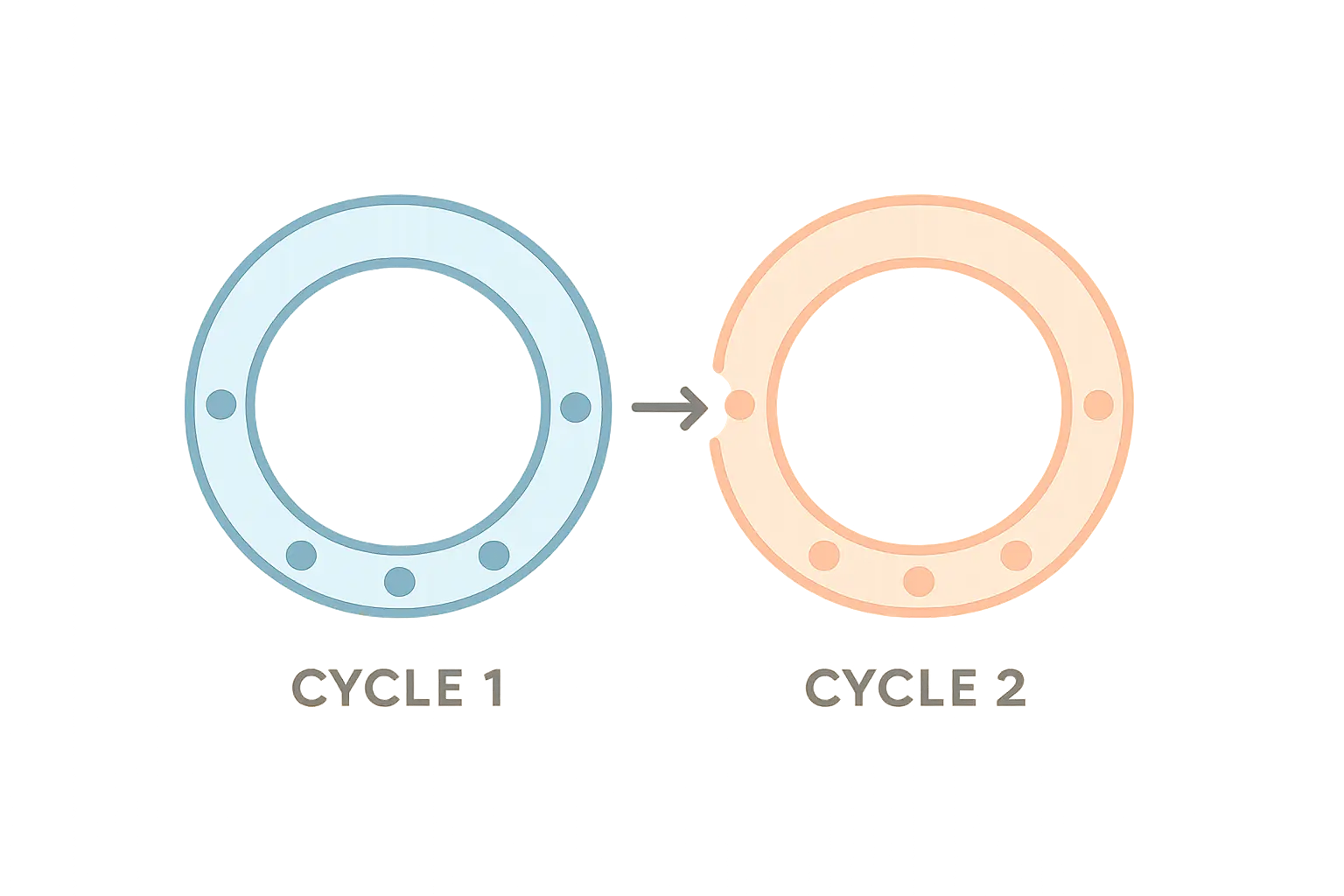 Two connected action research cycles showing how cycle 1's reflection informs cycle 2's plan